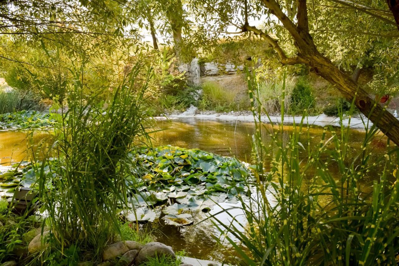 La Campagne St Lazare - Restaurant Chambres d'Hôtes Piscine&SPA Forcalquier Extérieur photo